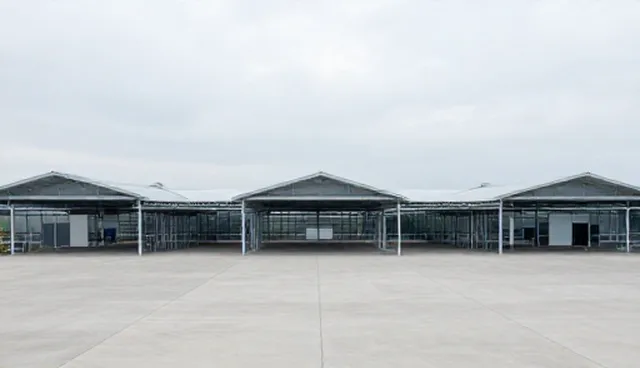 冷链配送效率误区解析与业务发展建议